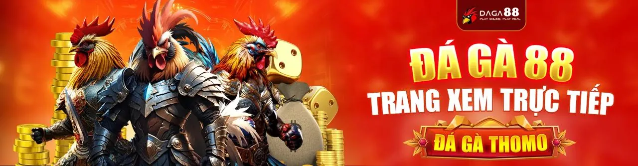 Đá gà trực tiếp tại Kbet Link Mới 2026